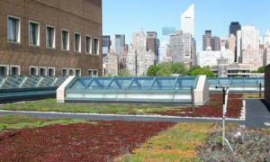 Green Infrastructure Grant Program: Eligibility Workshop @ St. Francis College - Callahan Room  | New York | United States