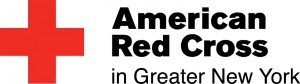 All NYC American Red Cross Webinar @ webinar