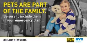 NYC Emergency Management Pet Preparedness Event @ Walt Whitman Park  | New York | United States